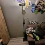 9 industrial floor lamps showing different materials, colors and styles for selecting the right Stehlampe