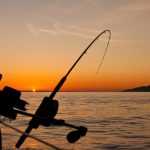 Fresh bait fish for pike fishing delivered in insulated styrofoam packaging