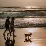 Stunning Bali landscape featuring tropical forests, scenic beaches, and natural beauty attractions including Tanah Lot Temple