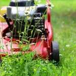 Verschiedene Rasenmäher-Typen für unterschiedliche Gartengröße und Anforderungen zum Kaufen