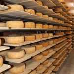 Kaasdok B.V. - Curated cheese platter online with diverse Dutch and international cheese varieties for gifting and enjoyment
