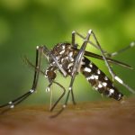 Benchmarks für effektiven Insektenschutz showing product comparison and active ingredient effectiveness for mosquito and tick