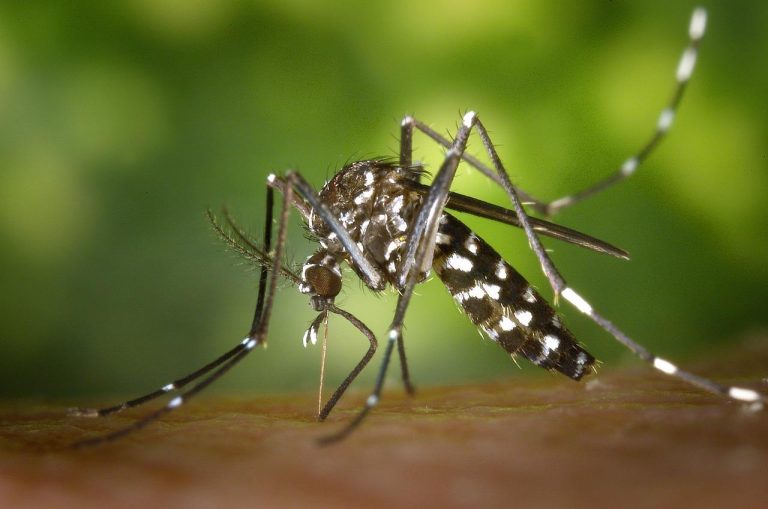 Benchmarks für effektiven Insektenschutz showing product comparison and active ingredient effectiveness for mosquito and tick