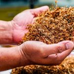 Vielfalt an Snus und Nikotinbeuteln in verschiedenen Geschmacksrichtungen und Stärken auf Snusfarmer.com